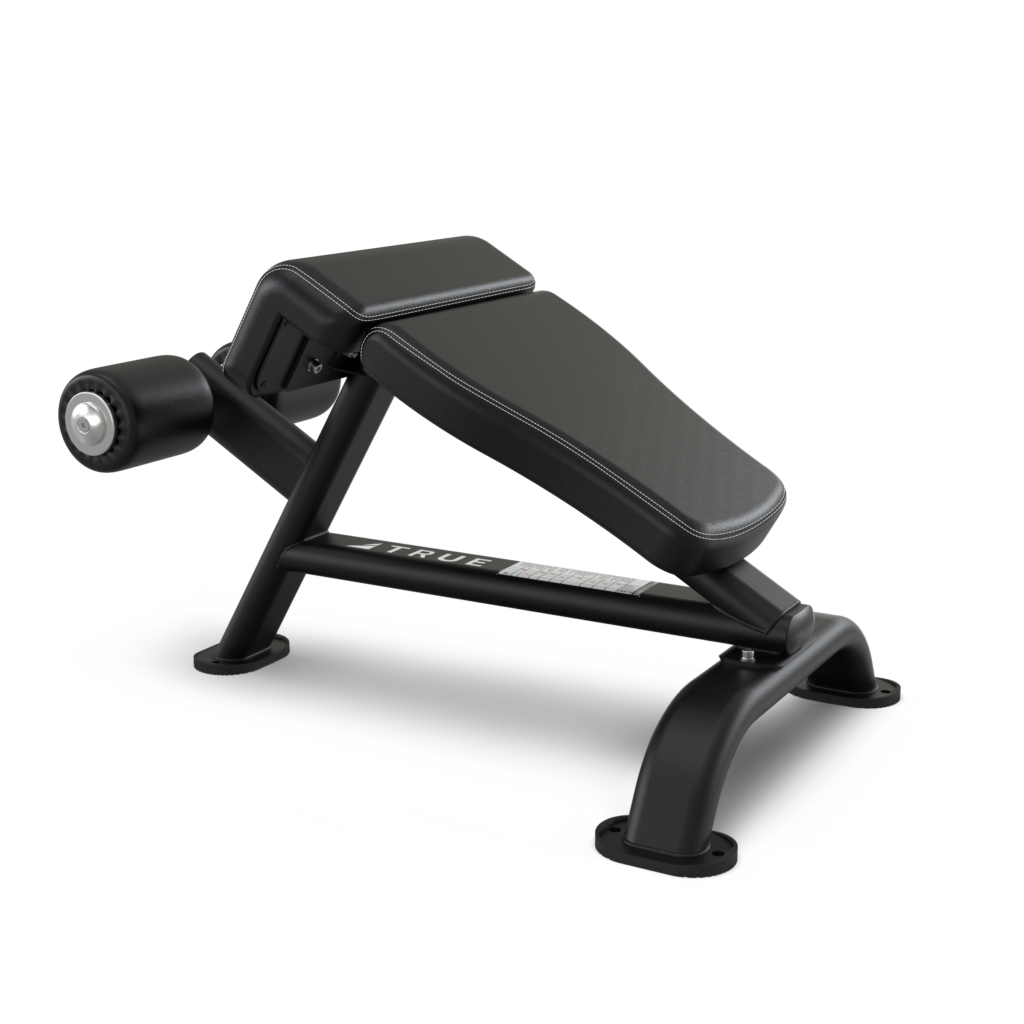 True Fitness Ab Bench
