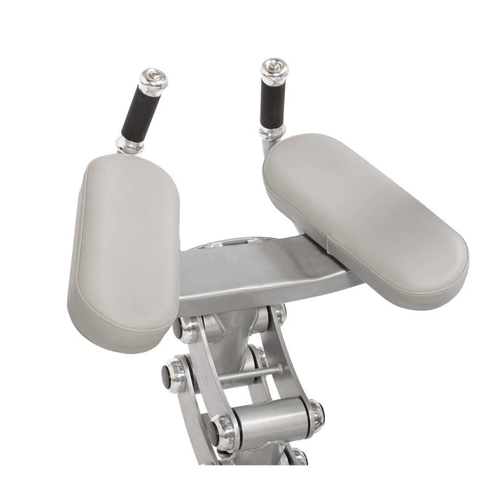 Hoist RS-2412 Glute Master