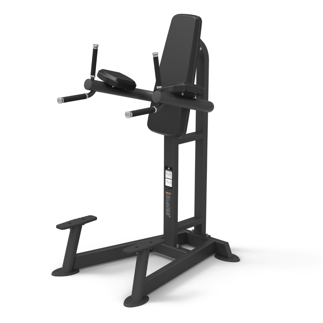 Spirit CSF Vertical Leg Raise/Dip