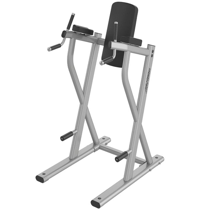 Certified Used Life Fitness Vertical Knee Raise