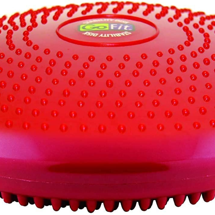 GoFit Core Disk