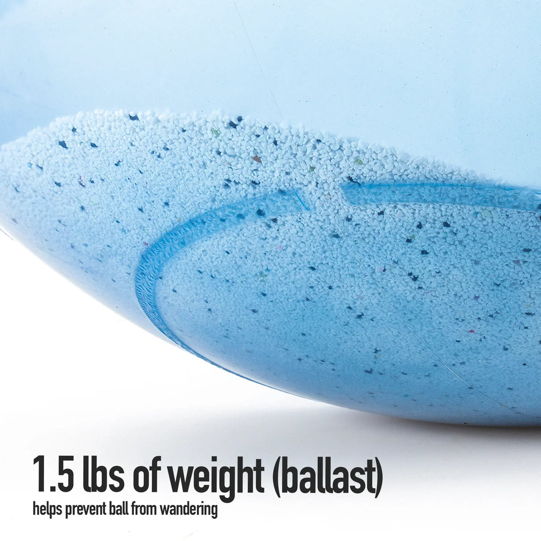 Bosu Ballast Ball Pro