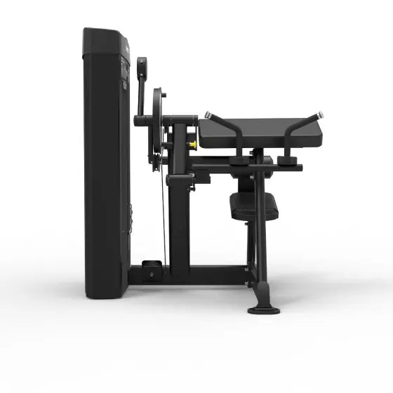 Spirit Dual Biceps Curl/Triceps Extension Machine